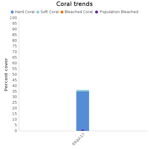 Coral Trends