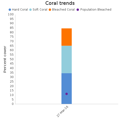 Coral Trends