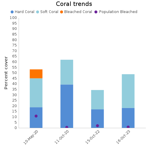 Coral Trends