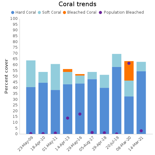 Coral Trends