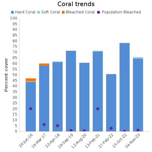 Coral Trends