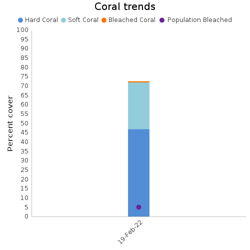 Coral Trends