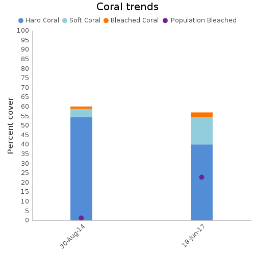 Coral Trends