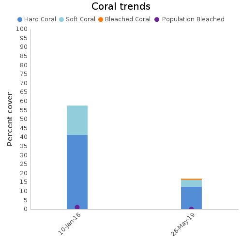 Coral Trends