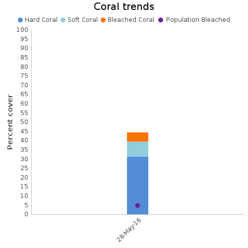 Coral Trends