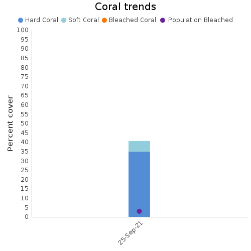 Coral Trends