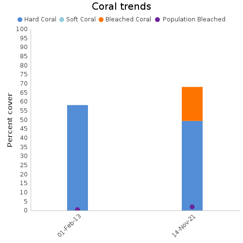 Coral Trends