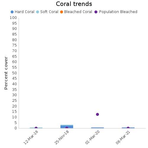 Coral Trends