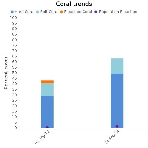 Coral Trends