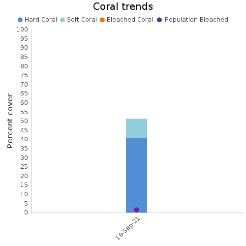 Coral Trends