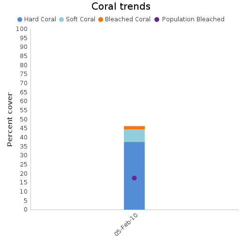 Coral Trends