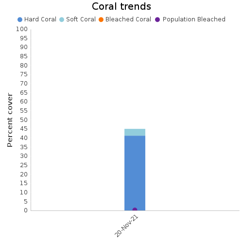 Coral Trends