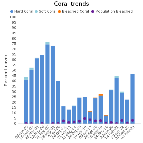 Coral Trends