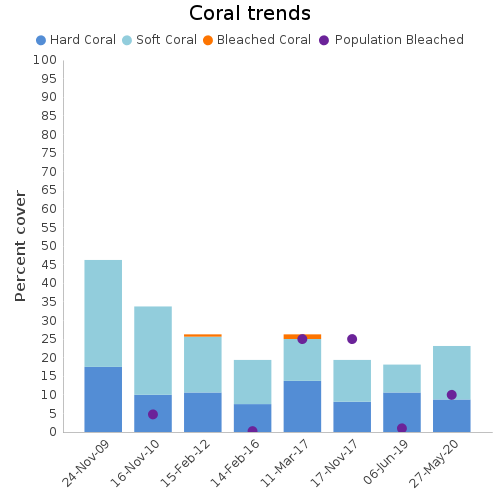 Coral Trends