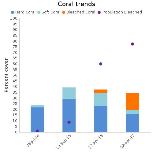 Coral Trends