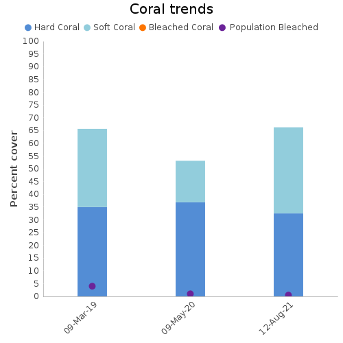 Coral Trends