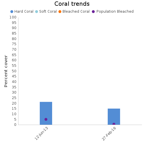 Coral Trends