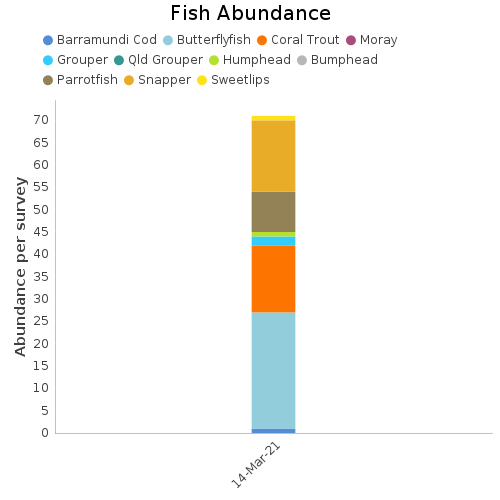 Fish Abundance