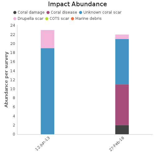 Impact Abundance