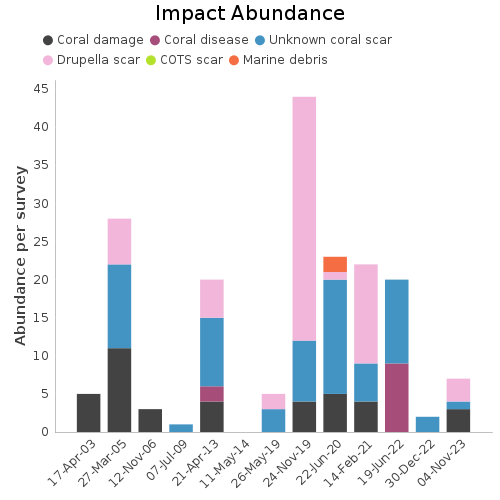 Impact Abundance