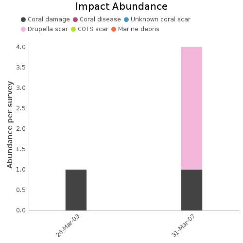 Impact Abundance