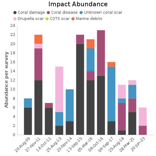 Impact Abundance