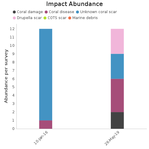 Impact Abundance