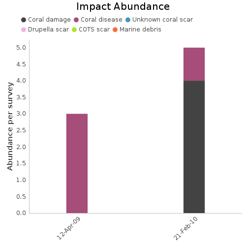 Impact Abundance