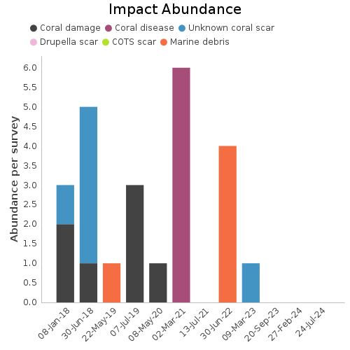 Impact Abundance