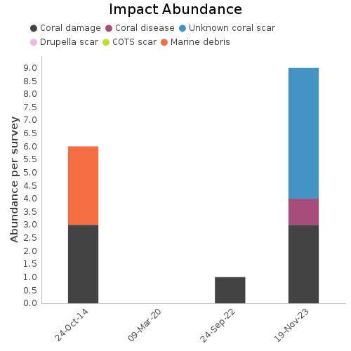 Impact Abundance