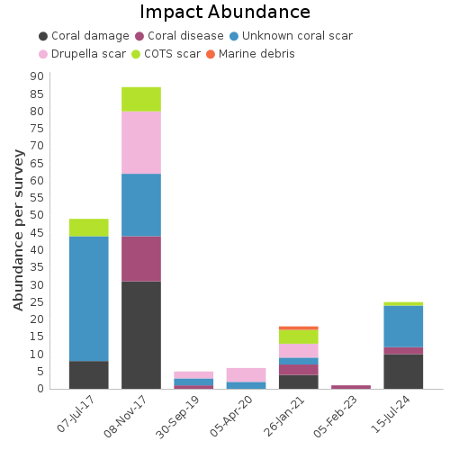 Impact Abundance