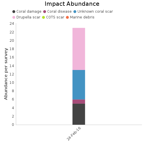 Impact Abundance