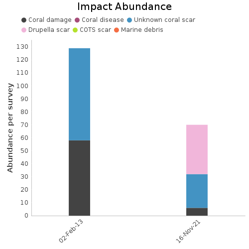 Impact Abundance