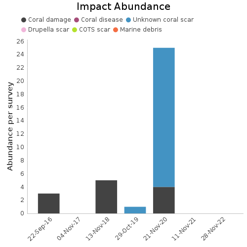 Impact Abundance