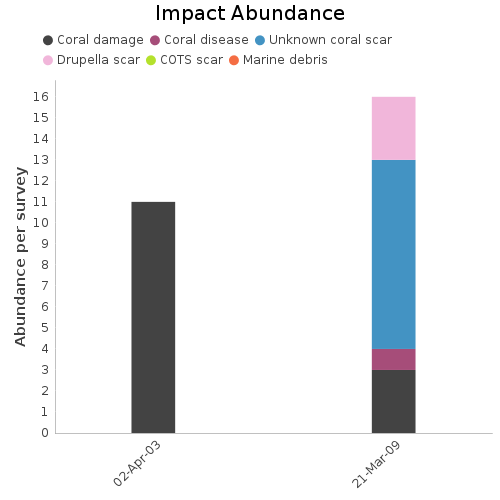 Impact Abundance