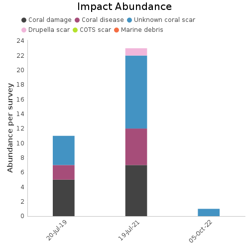 Impact Abundance