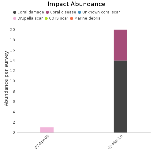 Impact Abundance