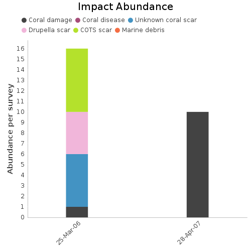 Impact Abundance