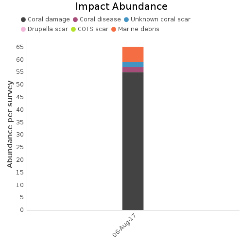 Impact Abundance