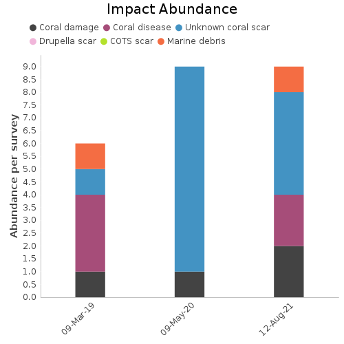 Impact Abundance