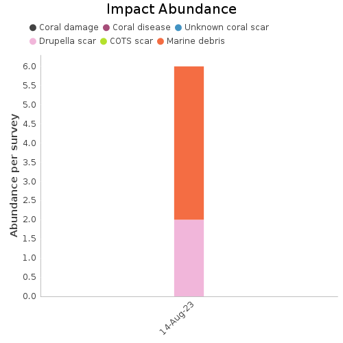 Impact Abundance