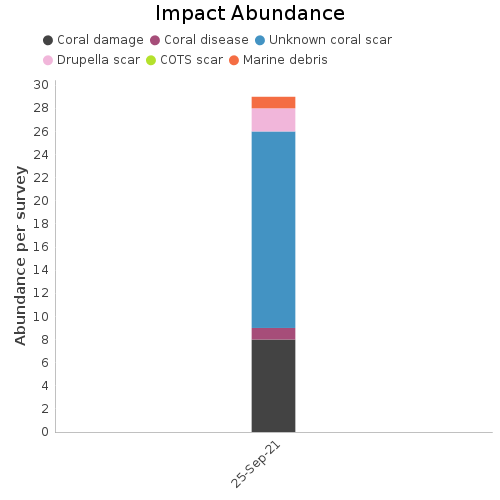 Impact Abundance