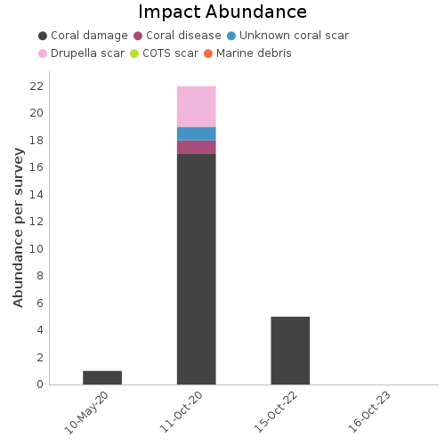 Impact Abundance