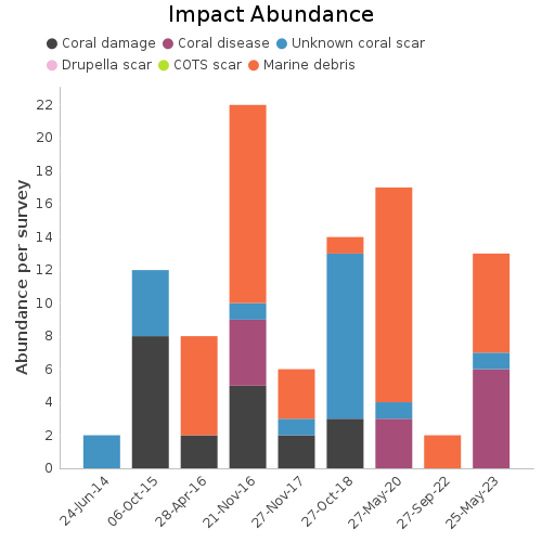 Impact Abundance