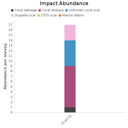 Impact Abundance