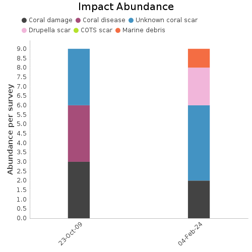 Impact Abundance