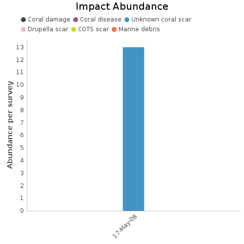 Impact Abundance