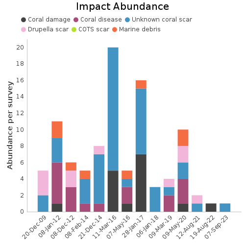 Impact Abundance