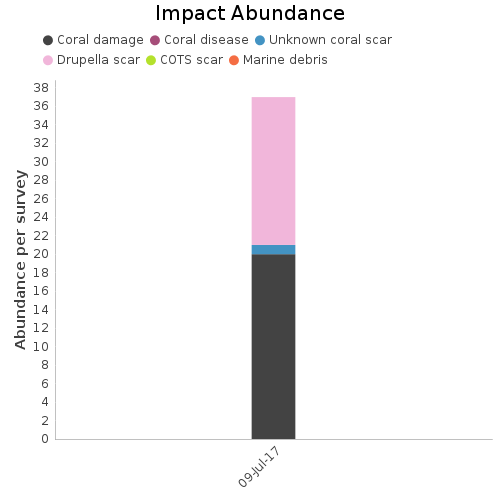 Impact Abundance