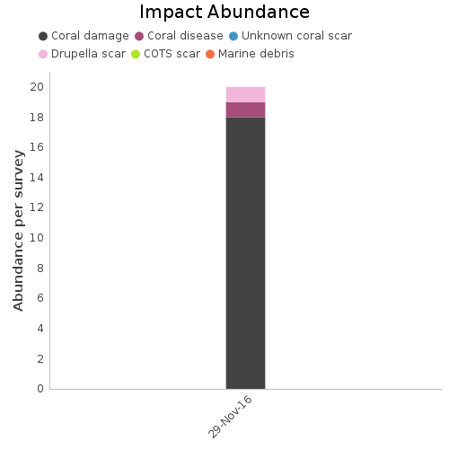 Impact Abundance